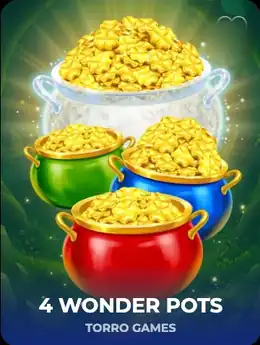 4 Wonder Pots